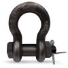 CM Alloy Bolt & Nut Anchor Shackle 1-1/4" - Self Colored