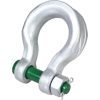 Green Pin P-6033 Alloy Bolt Type Sling Shackle with LROS 2-11/16" - Painted