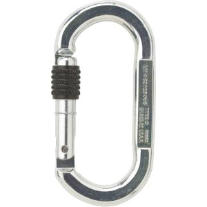 Austrialpin Symm Oval Steel Carabiner - Screw Locking - Bright