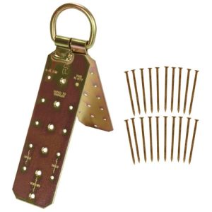 Falltech Hinged Reusable Wood Roof Anchor